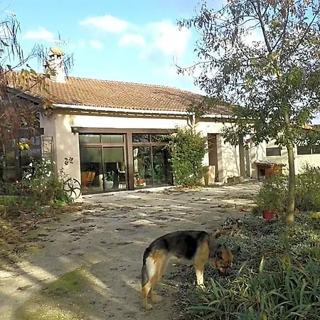 B&B Gazounette